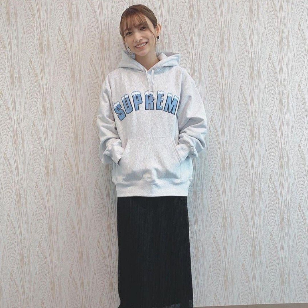 Supreme Icy Arc Hooded Sweatshirt シュプリームアイス Supreme Icy Arc Hooded Sweatshirt シュプリームアイス