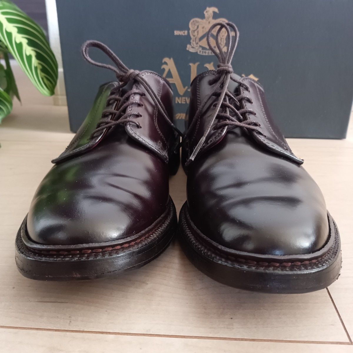 超極上】Alden 2938F Shell Cordovan#オールデンコードバン 超極上】Alden 2938F Shell Cordovan#オールデンコードバン