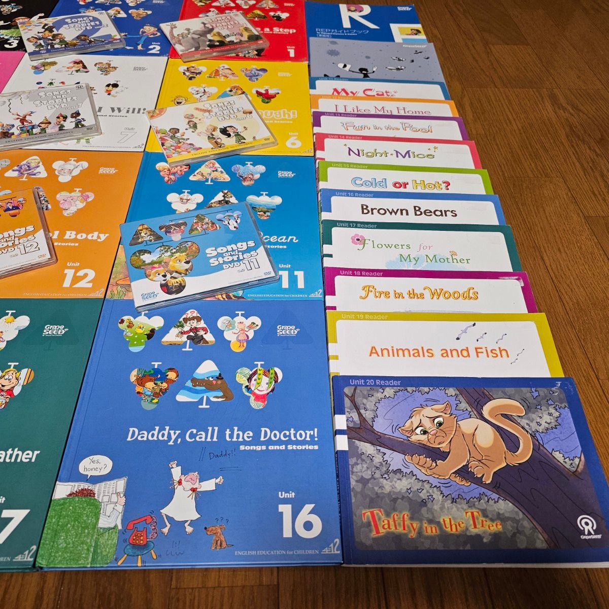 グレープシード 英語 Grape SEED グレープシード 英語教材 ユニット1~20 CD・DVD付き