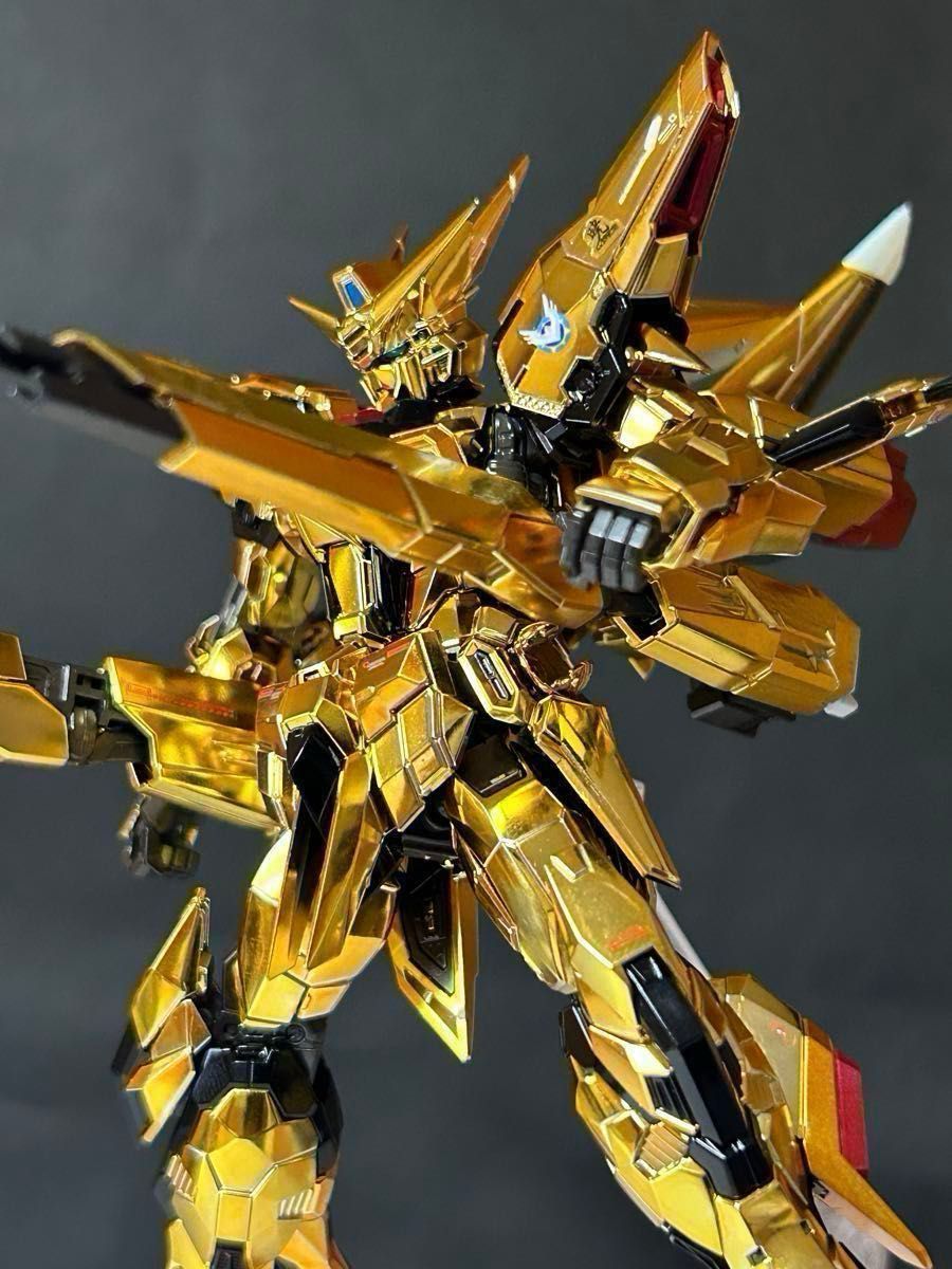 RG アカツキガンダム オオワシ装備+シラヌイパック+ゼウス RG アカツキガンダム オオワシ装備+シラヌイパック+ゼウス