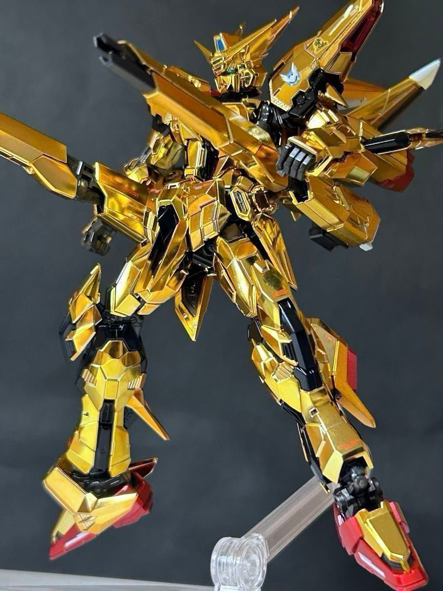RG アカツキガンダム オオワシ装備+シラヌイパック+ゼウス RG アカツキガンダム オオワシ装備+シラヌイパック+ゼウス