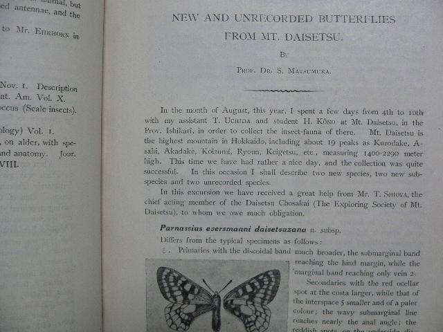 Insecta Matsumurana Vol.1-35とSupplement #1-11 北海道大学 Insecta Matsumurana Vol.1-35とSupplement #1-11 北海道大学