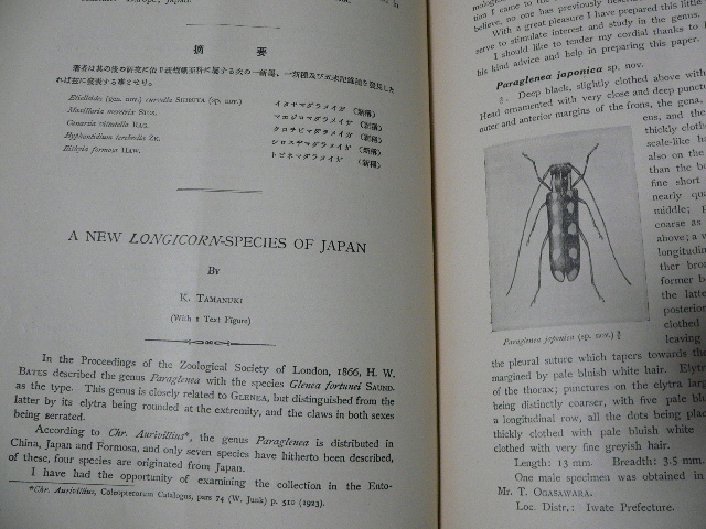 Insecta Matsumurana Vol.1-35とSupplement #1-11 北海道大学 Insecta Matsumurana Vol.1-35とSupplement #1-11 北海道大学