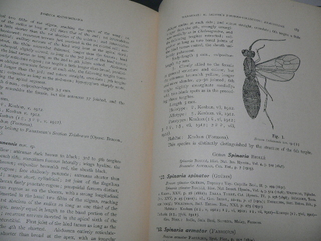 Insecta Matsumurana Vol.1-35とSupplement #1-11 北海道大学 Insecta Matsumurana Vol.1-35とSupplement #1-11 北海道大学