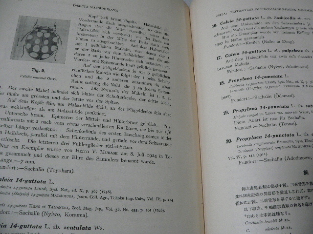 Insecta Matsumurana Vol.1-35とSupplement #1-11 北海道大学 Insecta Matsumurana Vol.1-35とSupplement #1-11 北海道大学