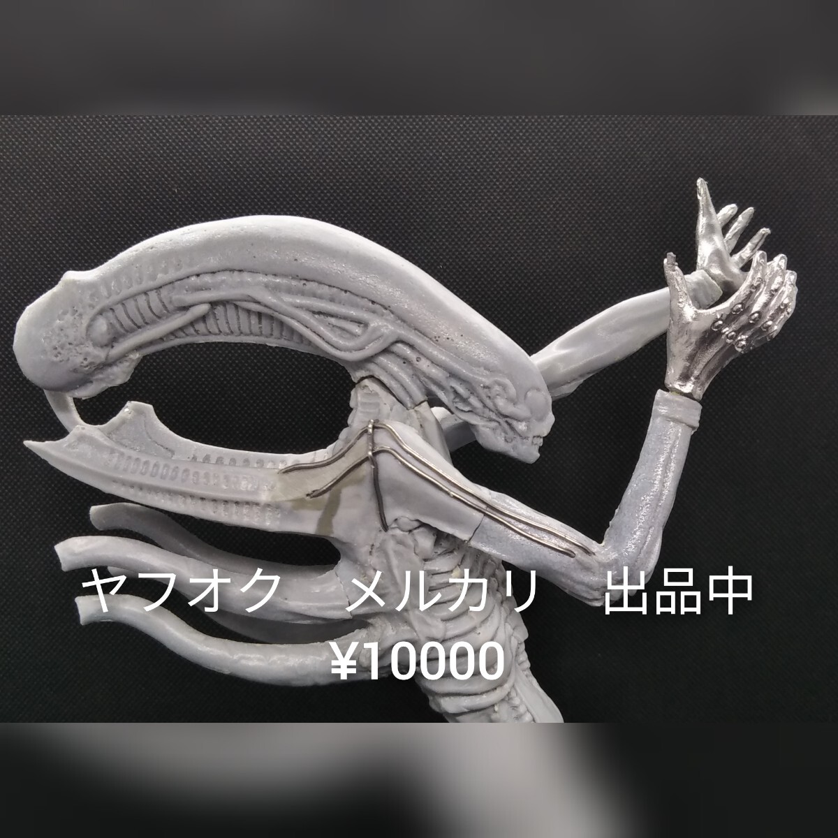 組み立てキット ネクロノーム ゼノモーフ プロトタイプ 組み立てキット ネクロノーム ゼノモーフ プロトタイプ