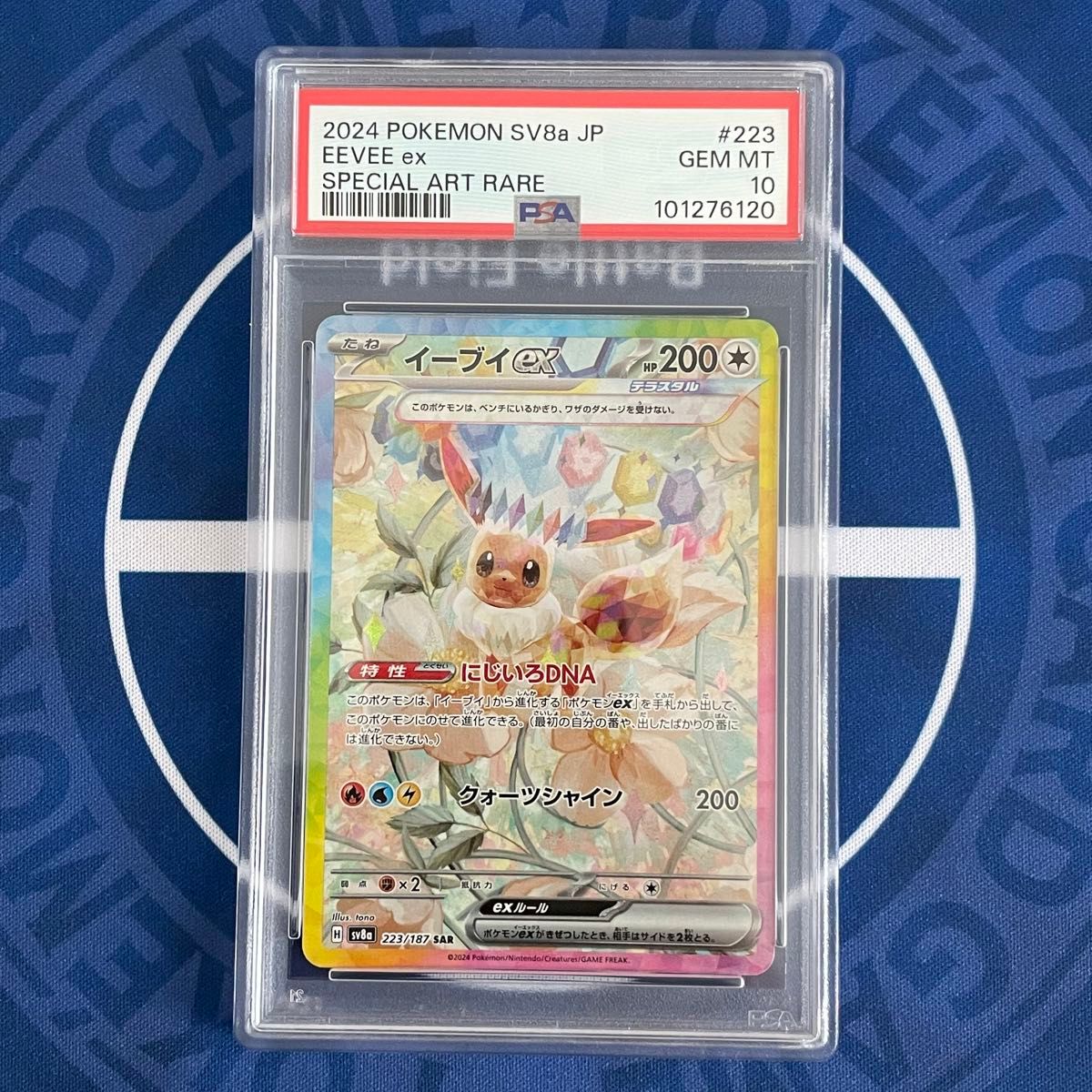 PSA10】イーブイex SAR 2種類セット【連番】ポケモンカード PSA10】イーブイex SAR 2種類セット【連番】ポケモンカード