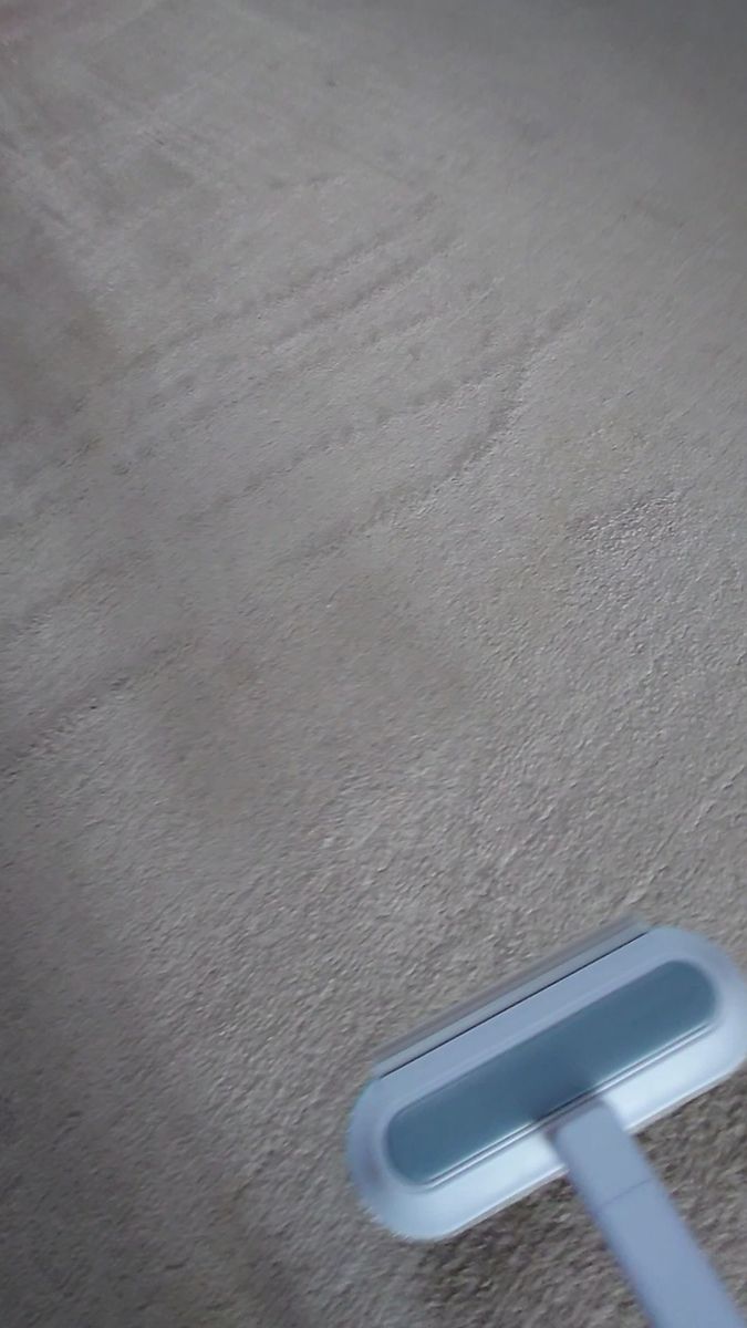 掃除用エチケットブラシ