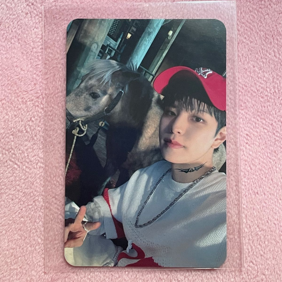 stray kids スキズ 合 HOP スンミン トレカ BDM 特典 SKZHOP stray kids スキズ 合 HOP スンミン トレカ BDM 特典 SKZHOP