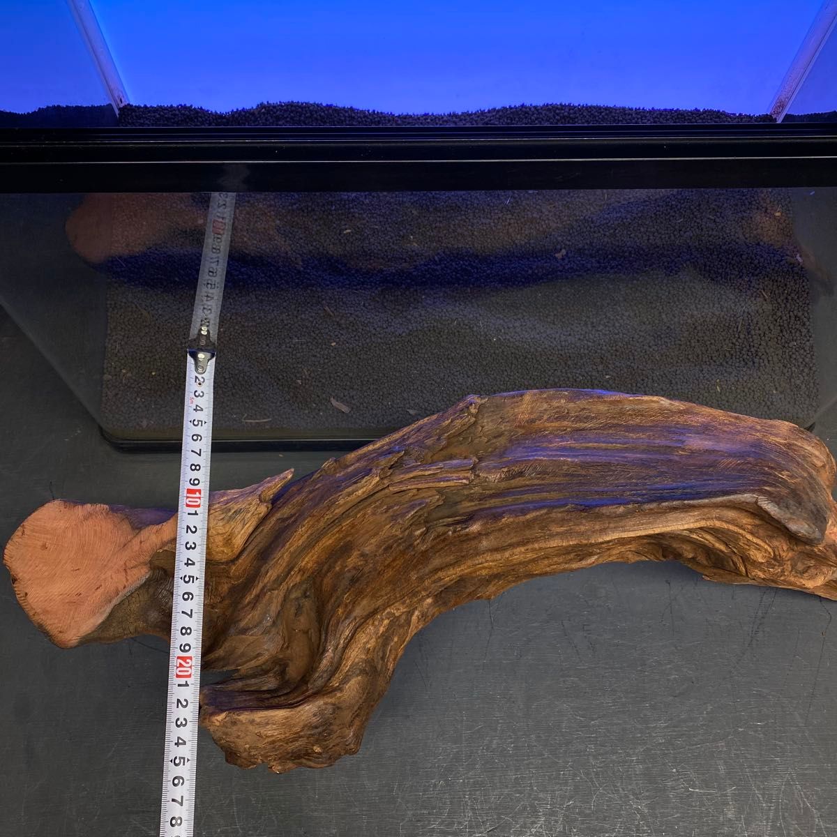 MRW-5752赤系天然流木 自立アーチ流木 1点物 流木 アクアリウム MRW-5752赤系天然流木 自立アーチ流木 1点物 流木 アクアリウム