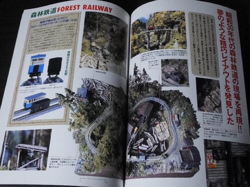 ◆希少　2001年版 鉄道模型 Nゲージ専用誌 成美堂出版_画像6