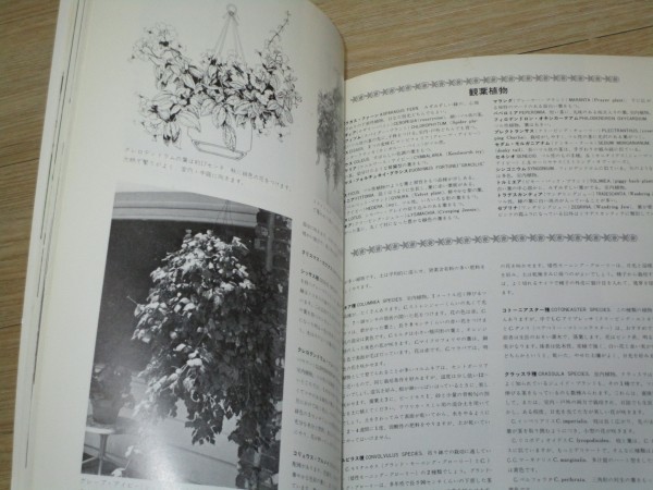  иностранная книга письменный перевод книга@# подвешивание горшок. садоводство все рис лучший погреб книга@ Showa 51 год / все японский язык 