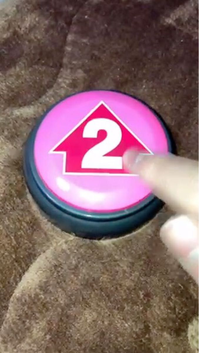 NEWUFOキャッチャー 2番ボタン