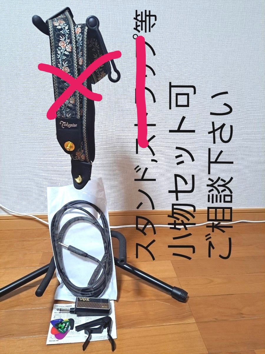 Bacchus Live Road モデル セミアコ ギターケース付き 黒 青 金 Bacchus Live Road モデル セミアコ ギターケース付き 黒 青 金