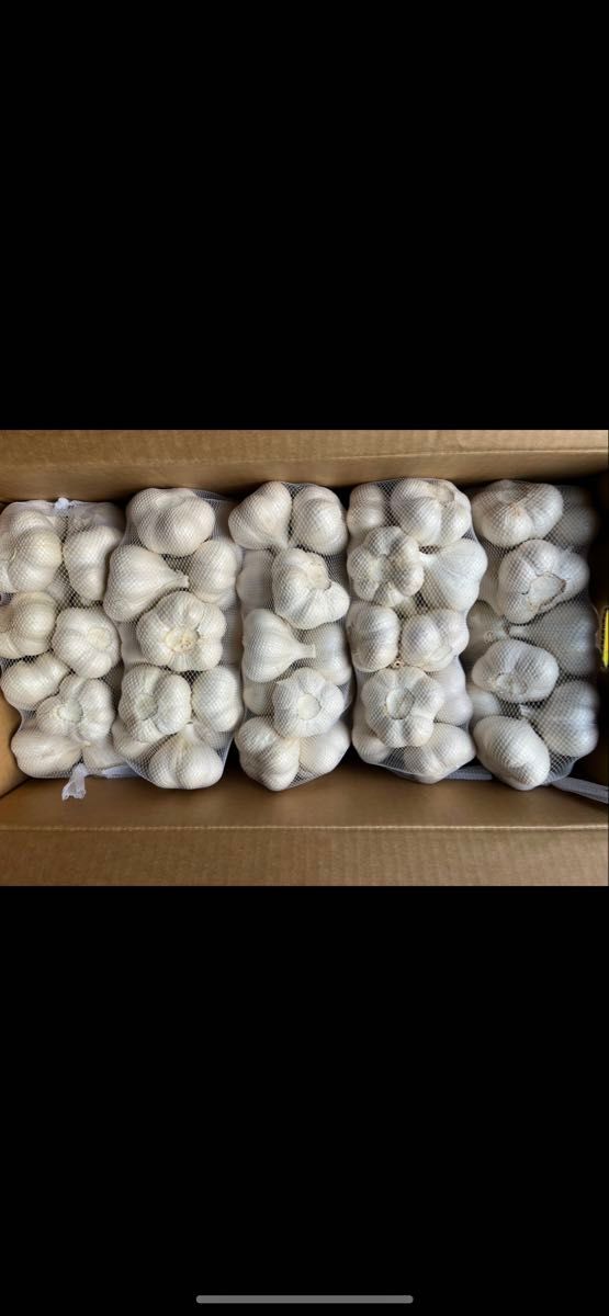 青森産 にんにく A品Lサイズ 10キロ JA全農あおもり 送料無料 青森産 にんにく A品Lサイズ 10キロ JA全農あおもり 送料無料