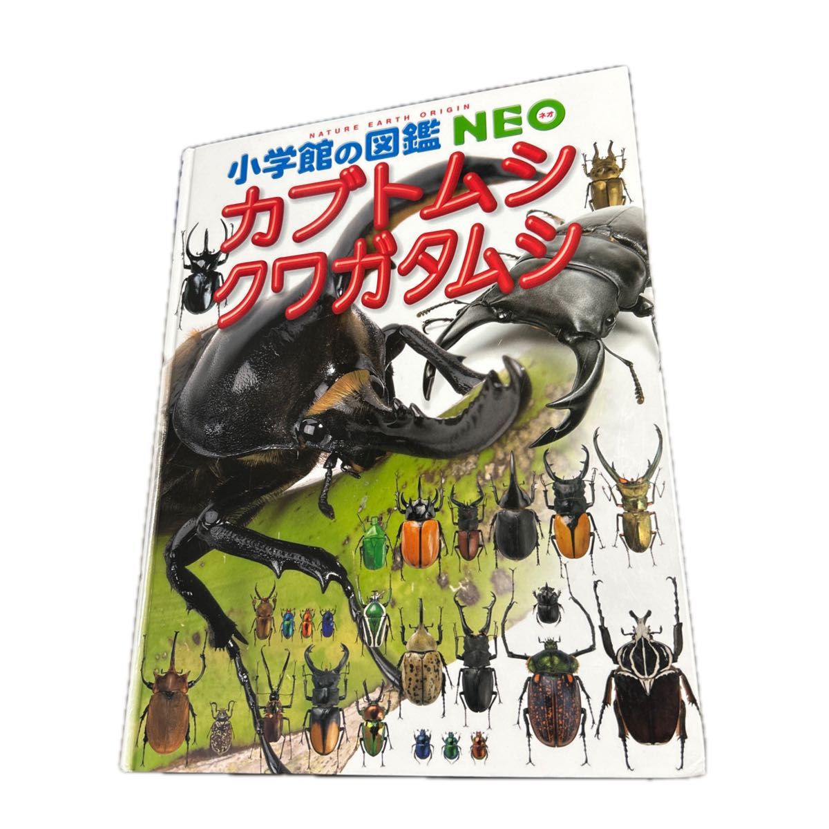 カブトムシ クワガタ 小学館の図鑑NEO|Yahoo!フリマ(旧PayPay カブトムシ クワガタ 小学館の図鑑NEO|Yahoo!フリマ(旧PayPay