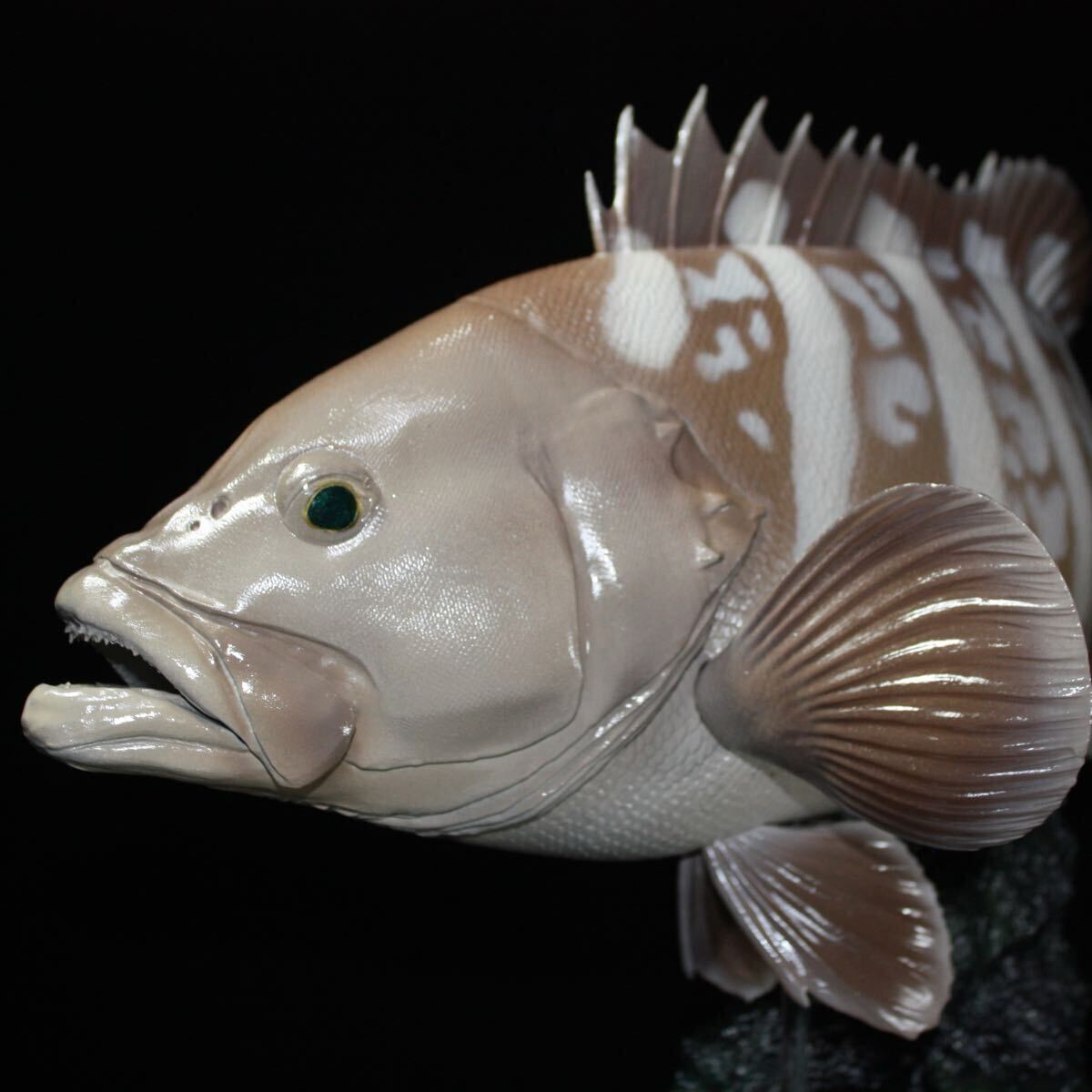 オオモンハタ フィギュア 魚寸27cm 【第10回日本彫刻コンクール オオモンハタ フィギュア 魚寸27cm 【第10回日本彫刻コンクール