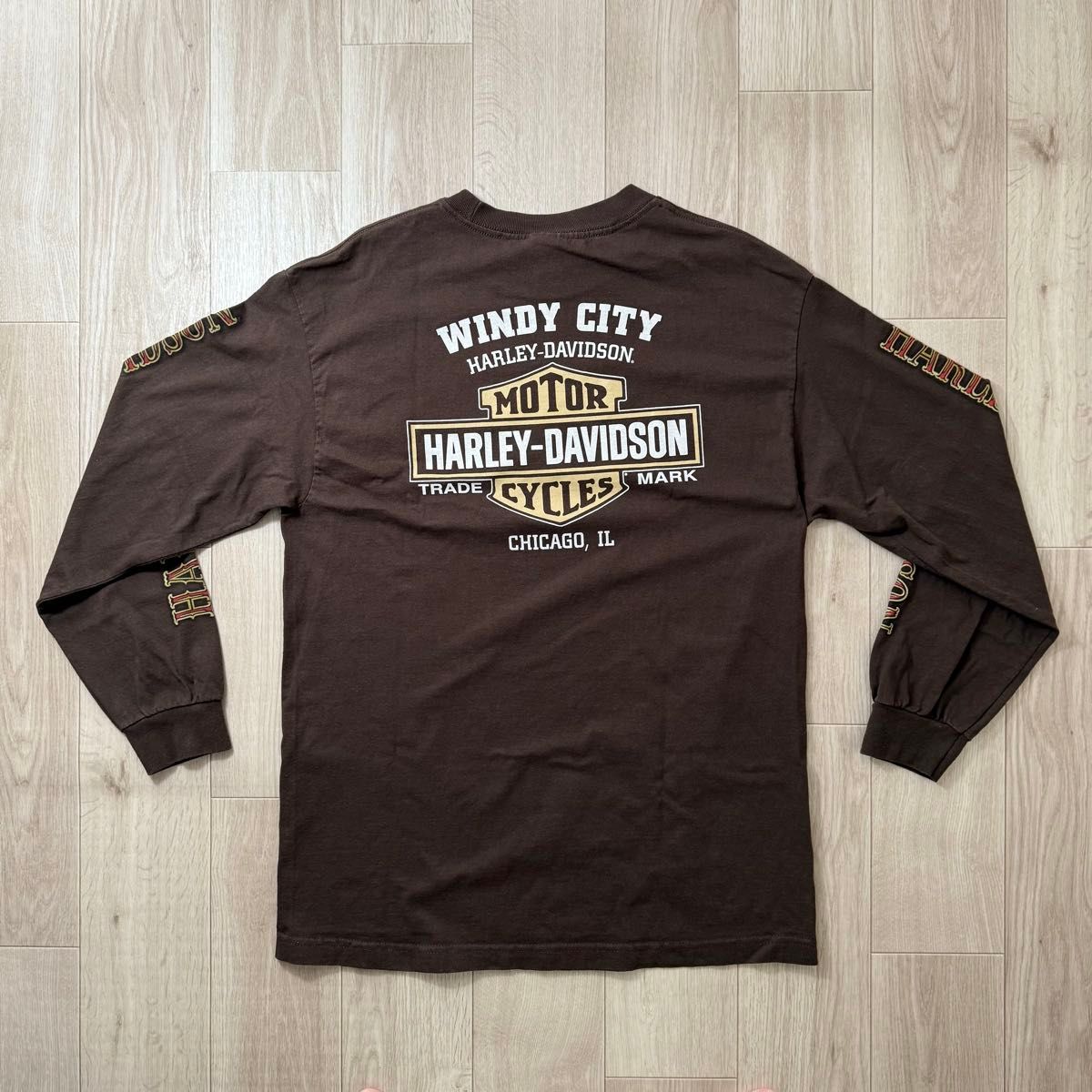 00s ハーレーダビッドソン 長袖Tシャツ イーグル柄 ブラウン L 00s ハーレーダビッドソン 長袖Tシャツ イーグル柄 ブラウン L