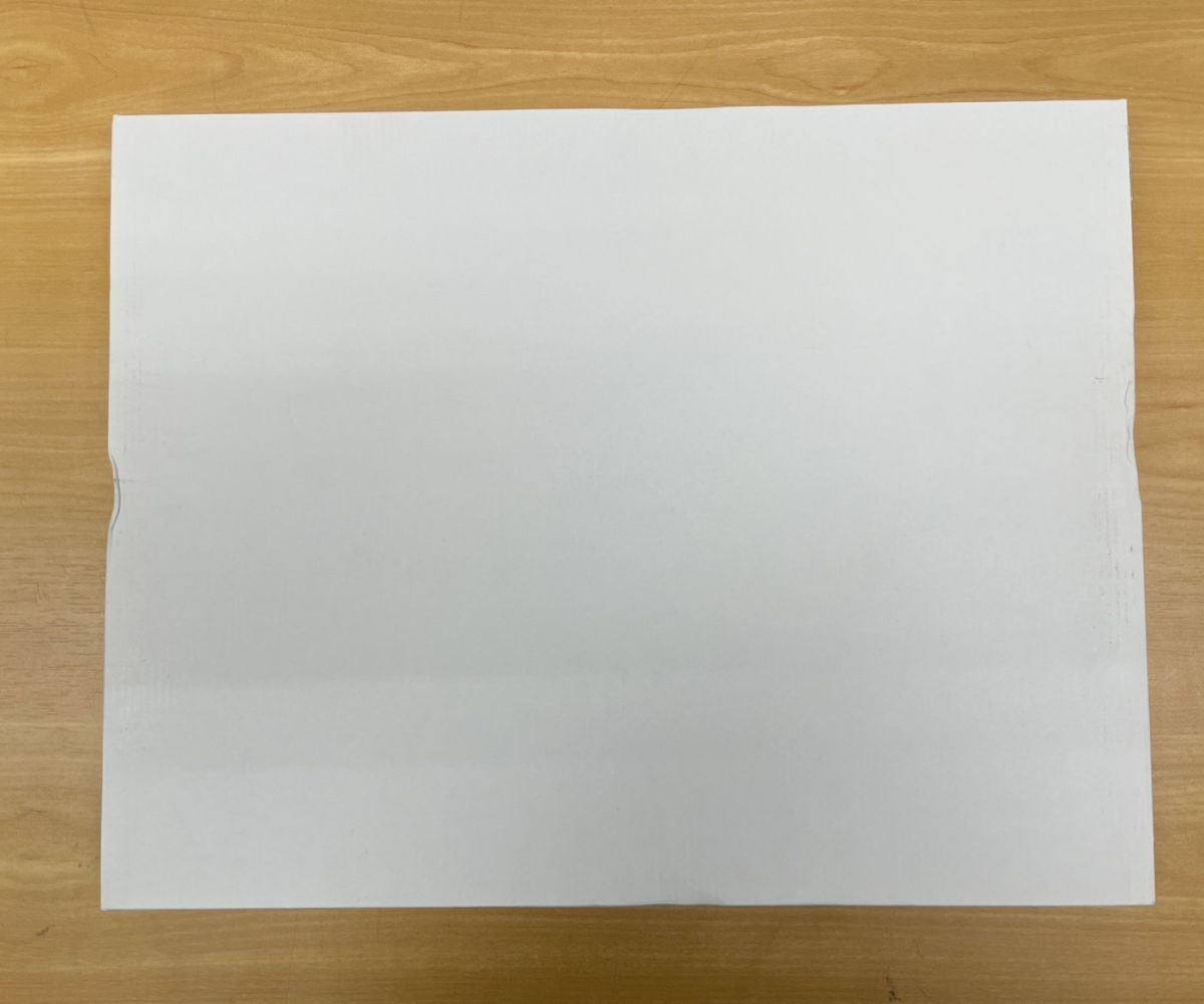 ドラゴンボール 複製原画 完全版コミックス 17巻 表紙絵 ドラゴンボール 複製原画 完全版コミックス 17巻 表紙絵