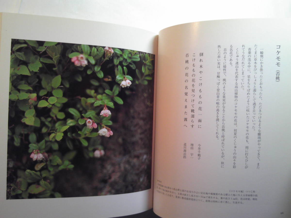 俳句写真集2冊/橋本瑞夫写真集「正・続季寄せ花模様 あそくじゅうの山の花たち」海鳥社_画像9