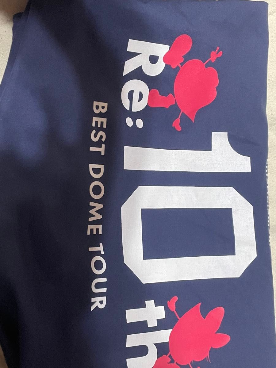 Nissy BEST DOME TOUR プレミアムシート グッズ バッグ 袋 Nissy BEST DOME TOUR プレミアムシート グッズ バッグ 袋