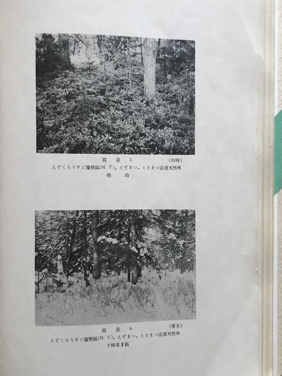 . сырой yoli видеть taru Сахалин(Karafuto) натуральный .no изучение * Kyoto . страна университет Сахалин(Karafuto) ... материалы ezo коврик domatsu