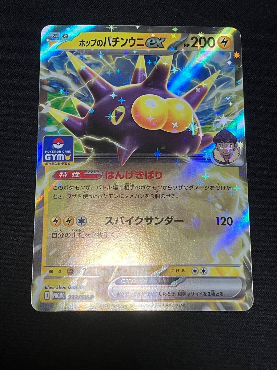 ホップのバチンウニex ポケモンカード ポケカ プロモ ジムバトル ホップのバチンウニex ポケモンカード ポケカ プロモ ジムバトル