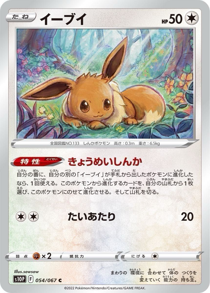 ポケカ ブースターexデッキ イーブイデッキ サンダースデッキ ポケカ ブースターexデッキ イーブイデッキ サンダースデッキ