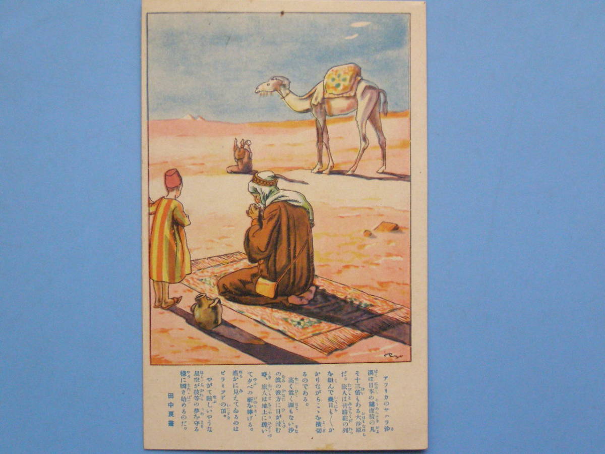  picture postcard war front picture postcard boy club rice field middle good Africa Sahara sand . camel illustration picture (H02)