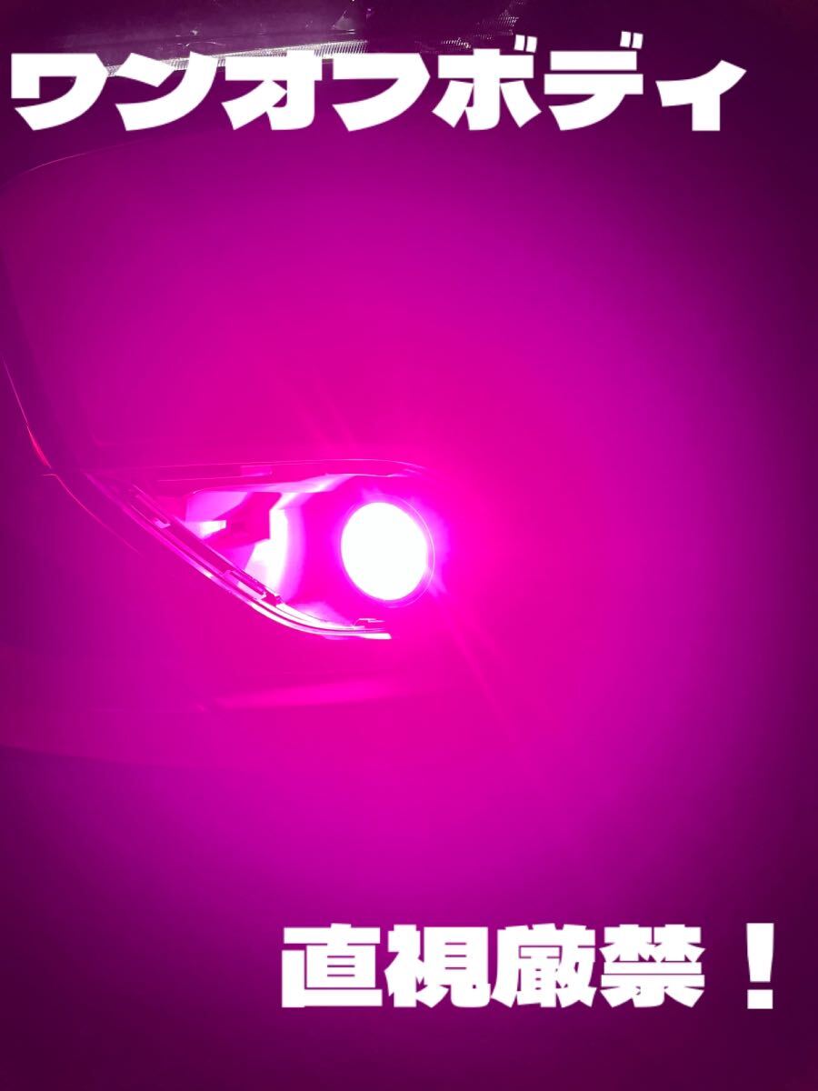 LED H8 H11 H16 ワンオフ 超爆光 パープルピンク 直視厳禁モデル LED H8 H11 H16 ワンオフ 超爆光 パープルピンク 直視厳禁モデル