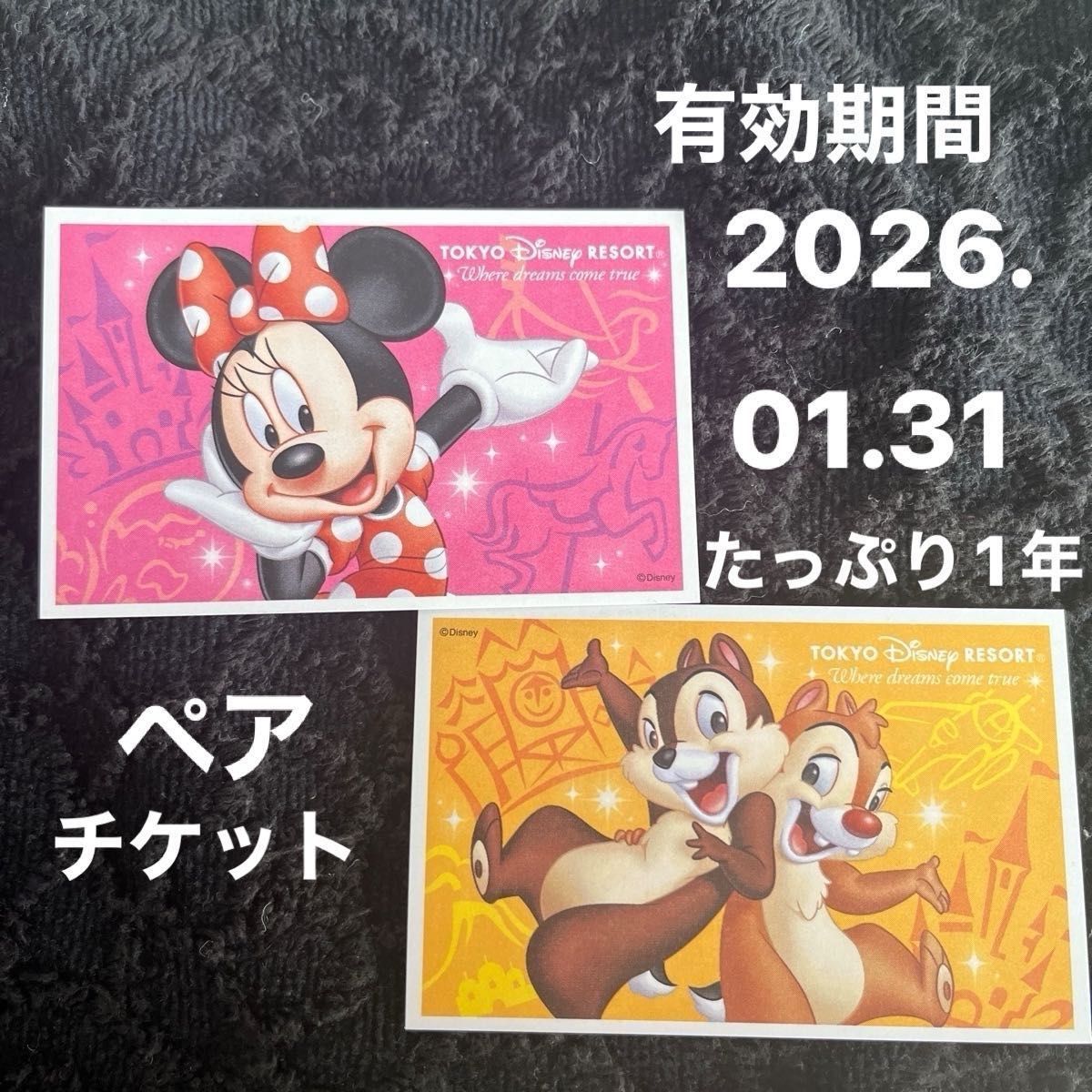 東京ディズニーリゾート スポンサーパスポートチケット ペア 東京ディズニーリゾート スポンサーパスポートチケット ペア