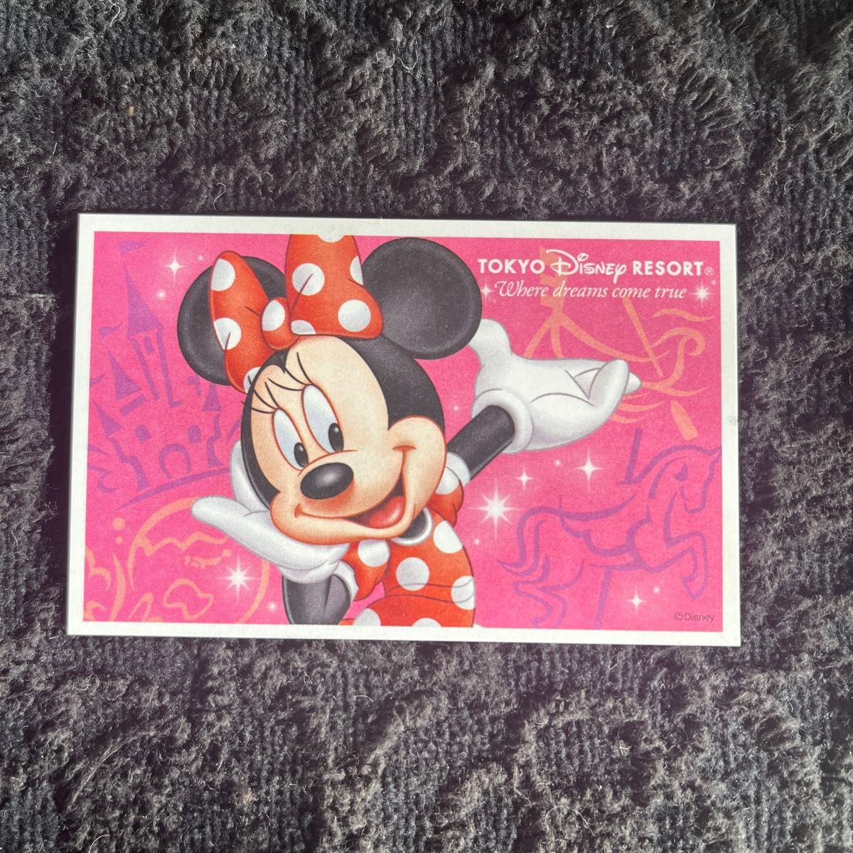 東京ディズニーリゾート スポンサーパスポートチケット ペア 東京ディズニーリゾート スポンサーパスポートチケット ペア