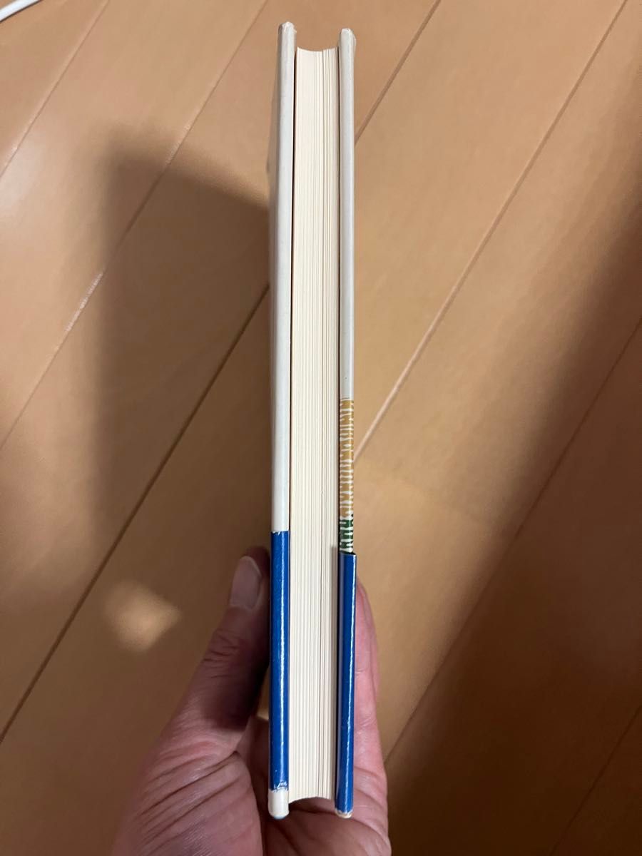 保守本流の直言