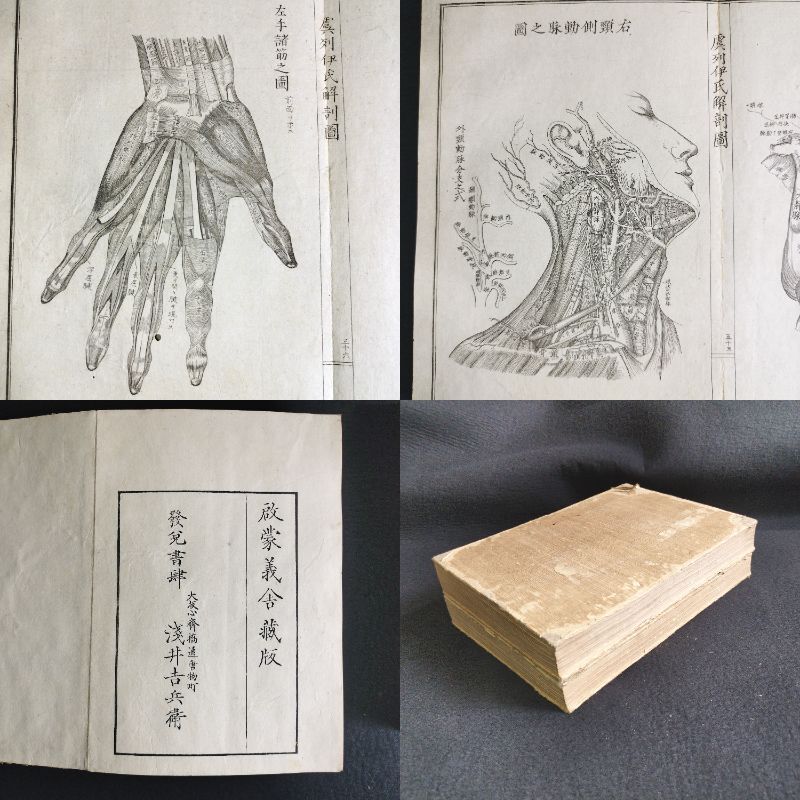 Y322 人体解剖学 絵入絵本◇虞列伊氏解剖訓蒙図◇全2冊揃 性器 Y322 人体解剖学 絵入絵本◇虞列伊氏解剖訓蒙図◇全2冊揃 性器