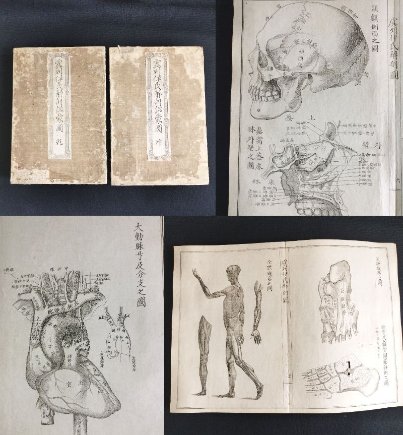 Y322 人体解剖学 絵入絵本◇虞列伊氏解剖訓蒙図◇全2冊揃 性器 Y322 人体解剖学 絵入絵本◇虞列伊氏解剖訓蒙図◇全2冊揃 性器