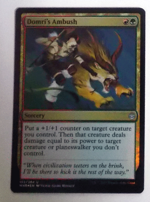 ＭTG英語/foil/Domri's Ambush(ドムリの待ち伏せ)/灯争大戦/アンコモン_画像1