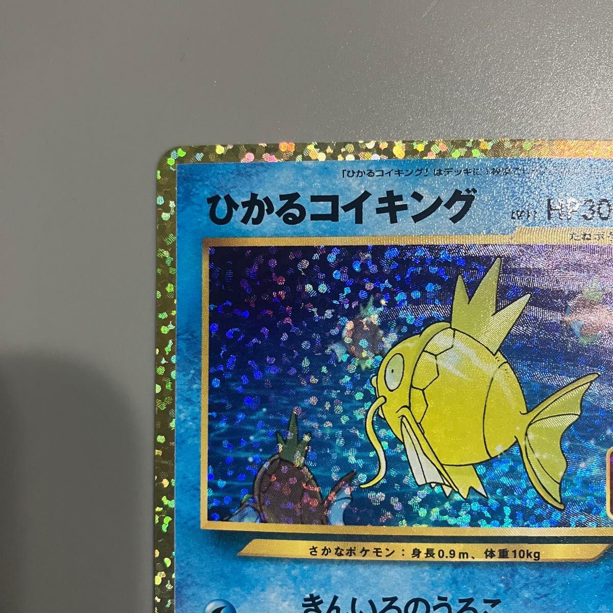 ひかるコイキング ポケモンカード プロモ 25th ポケカ|Yahoo ひかるコイキング ポケモンカード プロモ 25th ポケカ|Yahoo