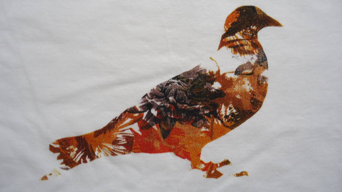 Staple Safari Pigeon Tee 白 XL 40%off ステープル 鳩 ハト サファリカモ NYC Tシャツ レターパックライトの画像4