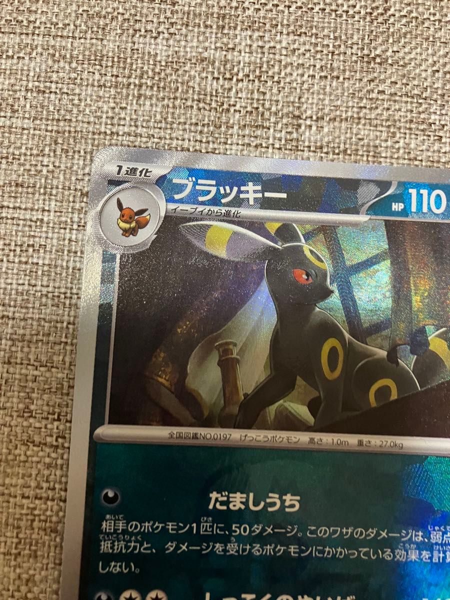 傷あり ブラッキー マスターボールミラー テラスタルフェスex 傷あり ブラッキー マスターボールミラー テラスタルフェスex