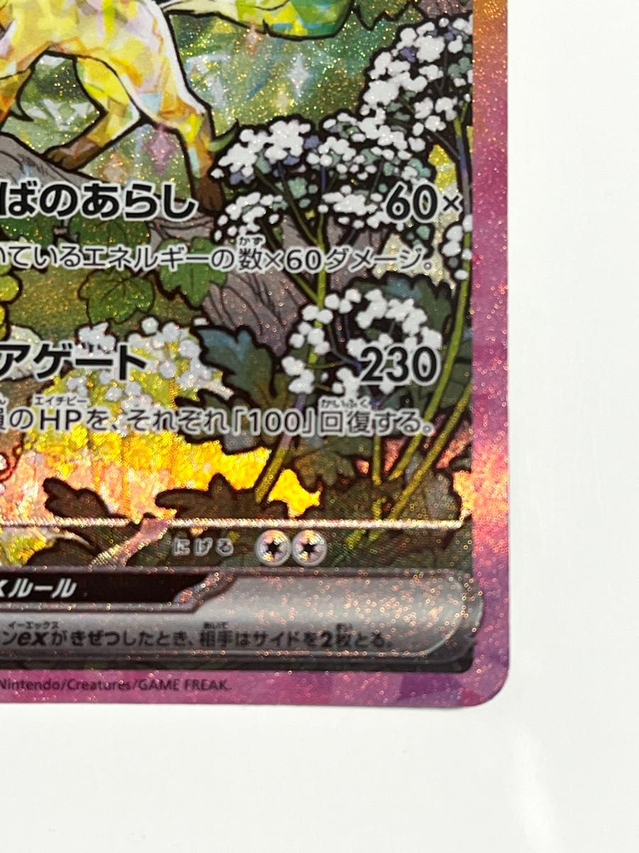 ポケモンカード リーフィア ex sar テラスタスフェス|Yahoo ポケモンカード リーフィア ex sar テラスタスフェス|Yahoo