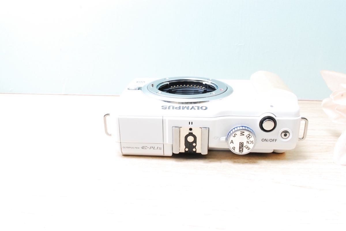 お散歩カメラ ミラーレス一眼カメラ OLYMPUS ペンシリーズ PEN E お散歩カメラ ミラーレス一眼カメラ OLYMPUS ペンシリーズ PEN E