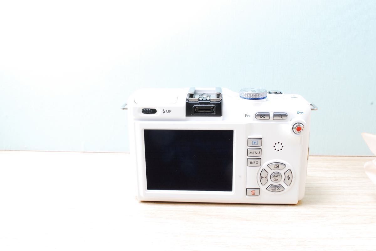 お散歩カメラ ミラーレス一眼カメラ OLYMPUS ペンシリーズ PEN E お散歩カメラ ミラーレス一眼カメラ OLYMPUS ペンシリーズ PEN E