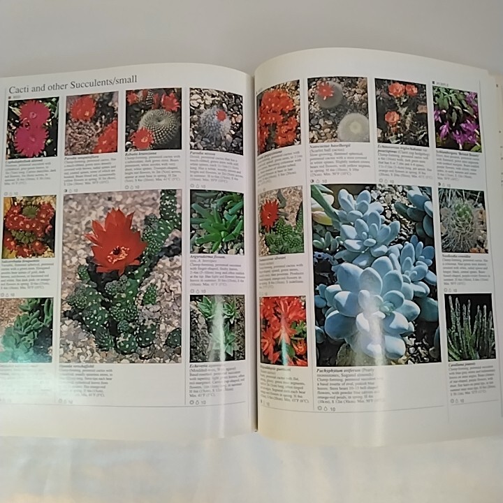 現品限り 洋書『園芸植物 百科事典』ガーデニング好き必見 現品限り 洋書『園芸植物 百科事典』ガーデニング好き必見