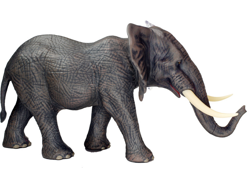 ファッション 通販 新品未開封 Elephant VISION 4D 解剖モデル 象 4Dビジョン 立体パズル