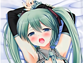 【正規品】初音ミク＆雪ミク 抱き枕カバー 　七海綾音/アーガイル