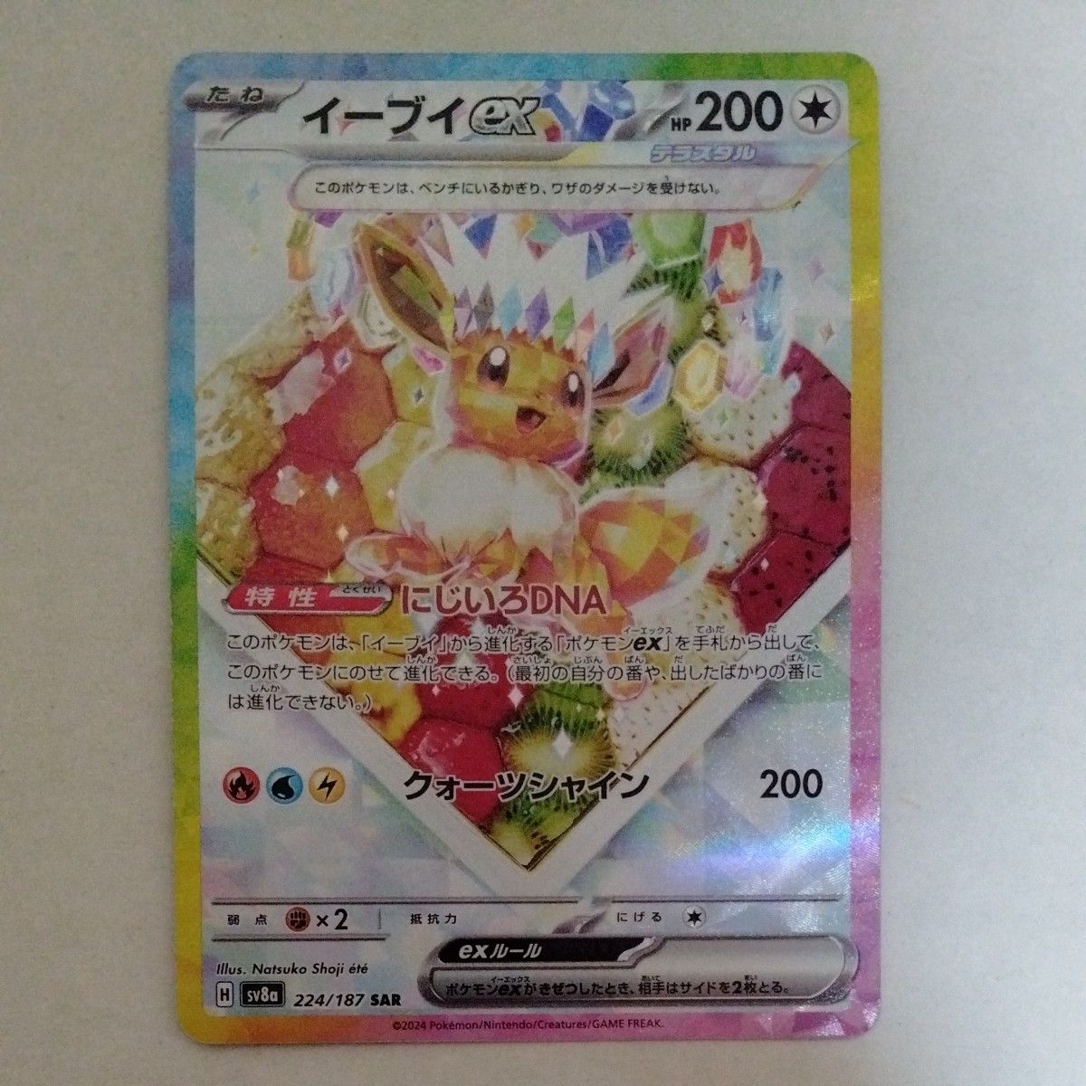 ポケモンカード ブイズ SAR 10種セット マグネットローダー付き ポケモンカード ブイズ SAR 10種セット マグネットローダー付き