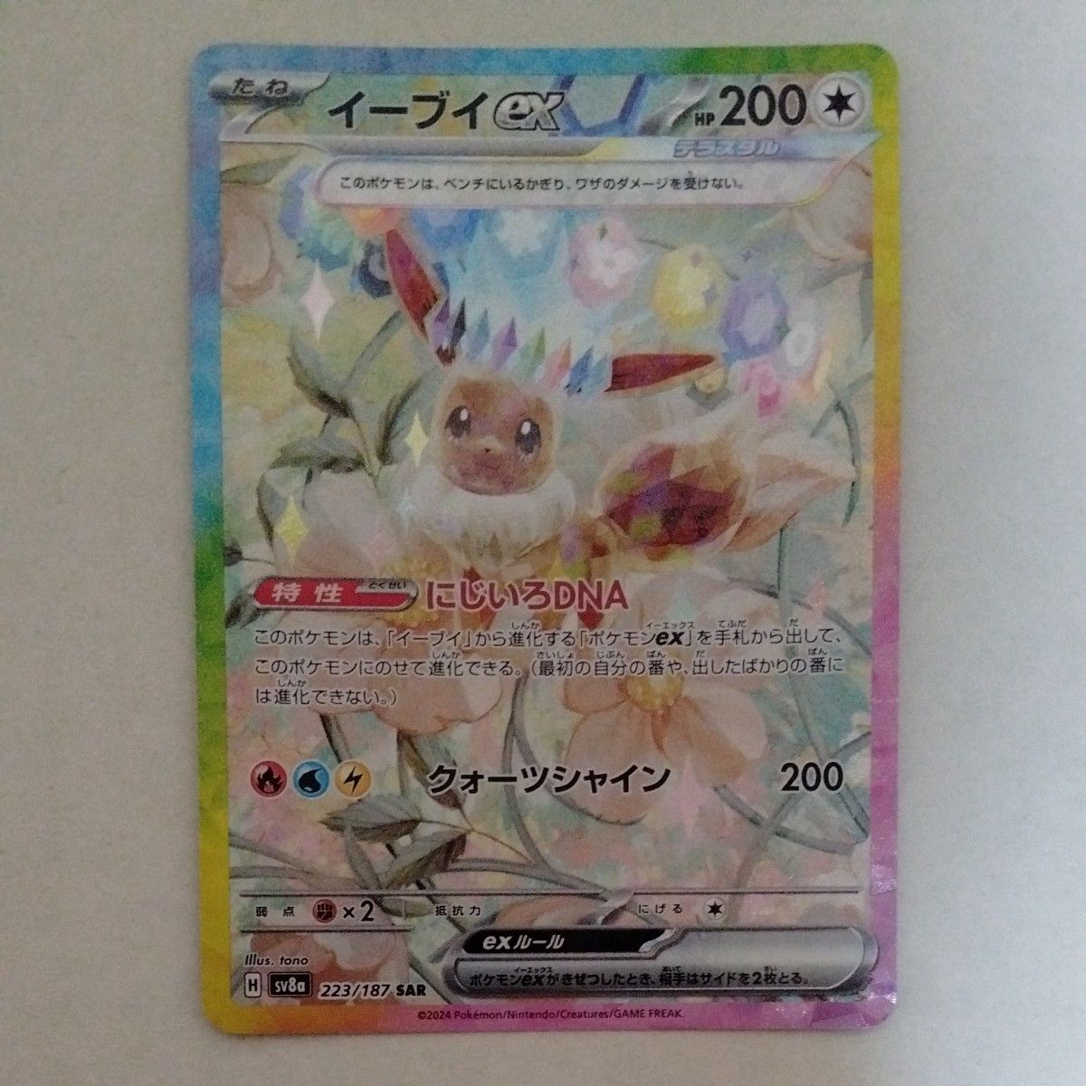 ポケモンカード ブイズ SAR 10種セット マグネットローダー付き ポケモンカード ブイズ SAR 10種セット マグネットローダー付き