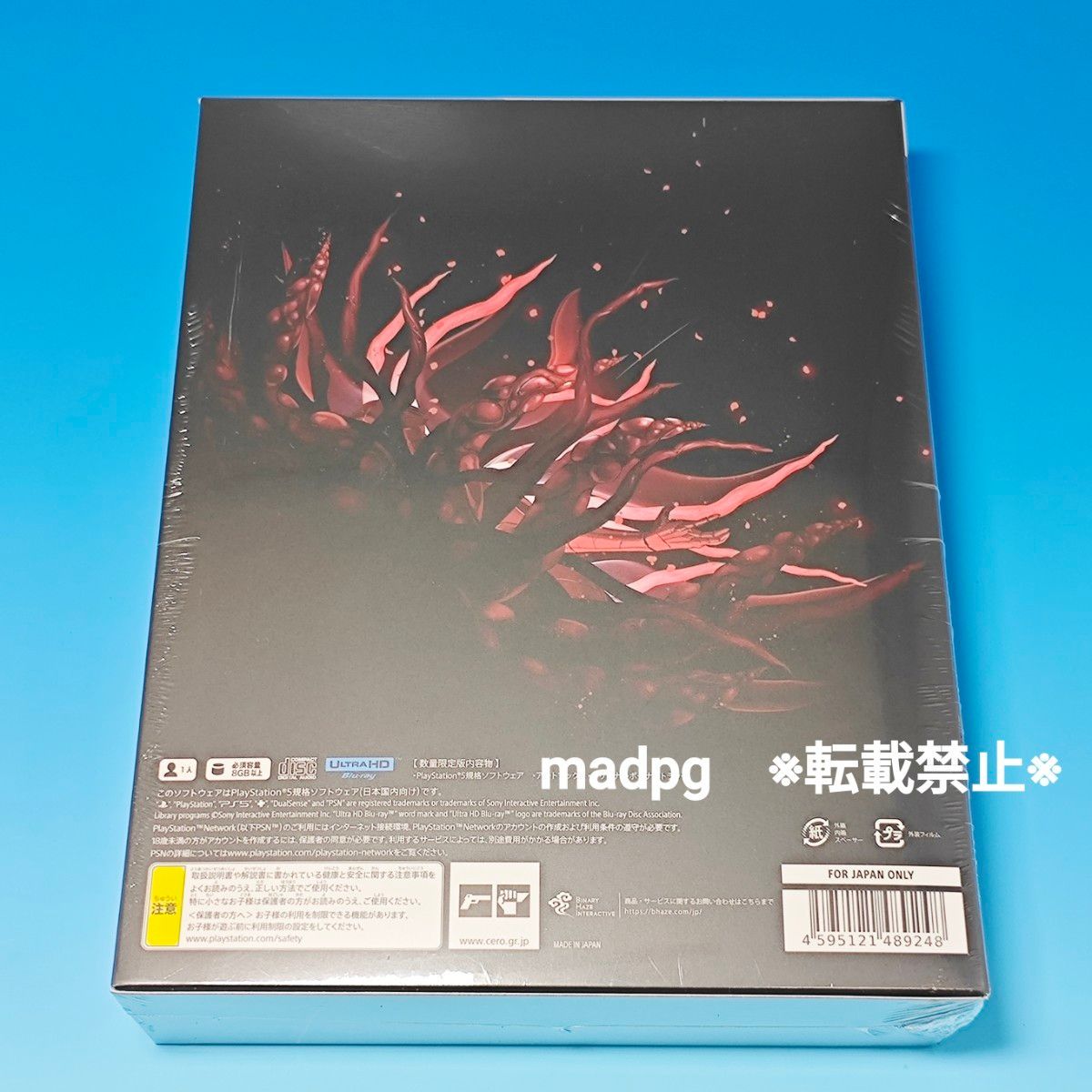 PS5 ENDER MAGNOLIA Bloom in the Mist 限定版 エンダー PS5 ENDER MAGNOLIA Bloom in the Mist 限定版 エンダー