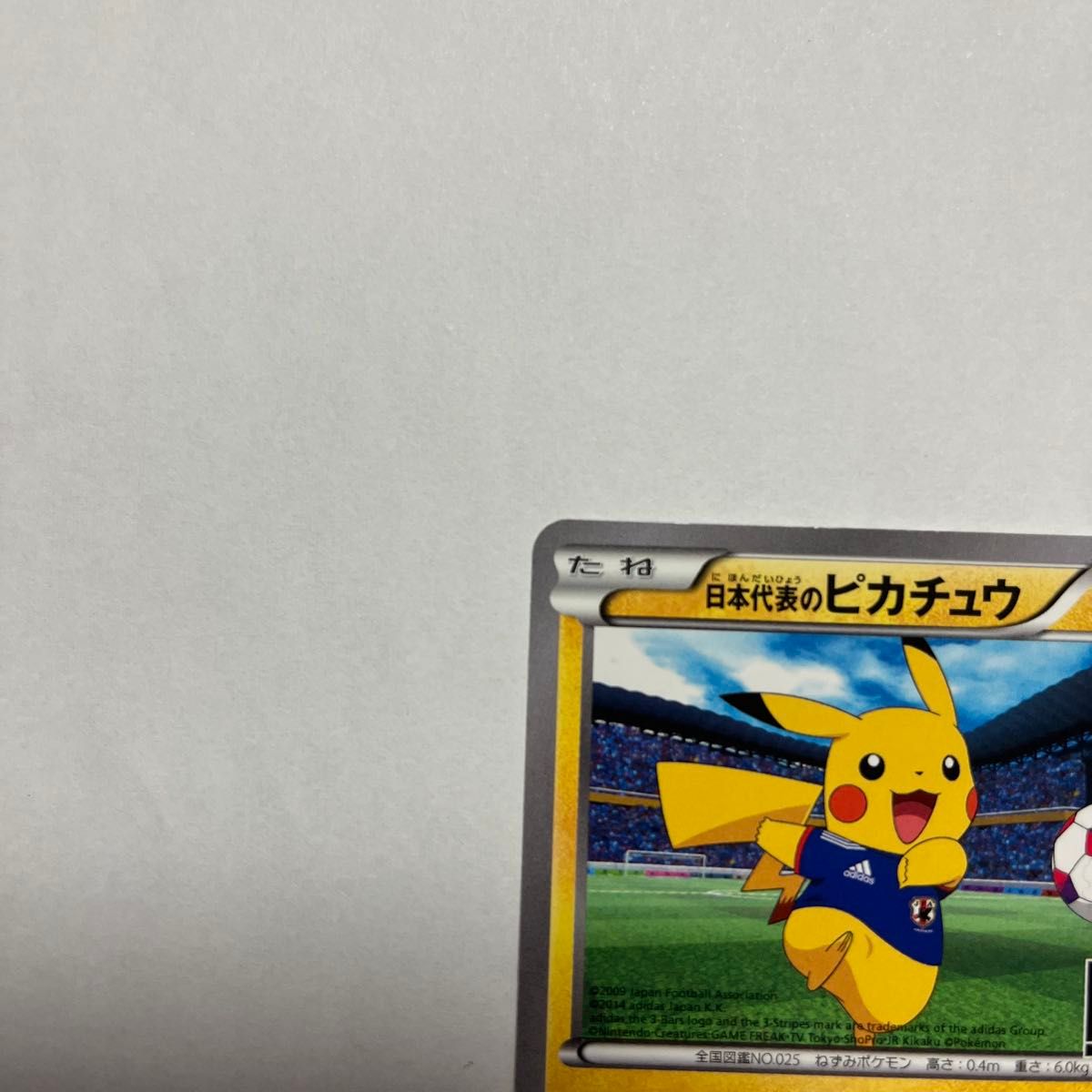 日本代表のピカチュウ ポケモンカード ピカチュウ プロモ XY-P 日本代表のピカチュウ ポケモンカード ピカチュウ プロモ XY-P