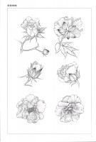 9787554703328 autumn flower ... writing brush . white ..... sketch literary creation China picture 